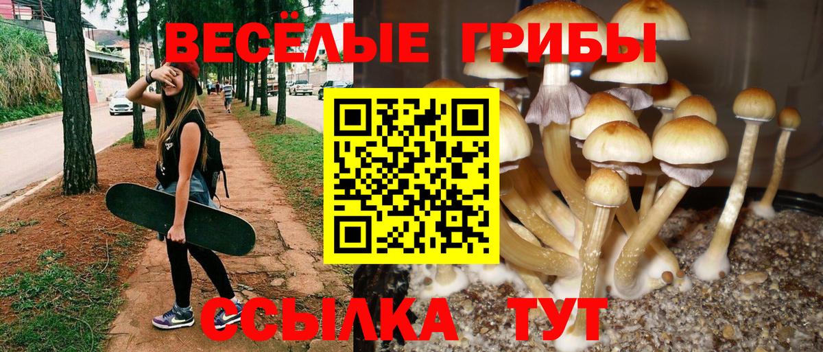 Галлюциногенные грибы Psilocybe Мирный