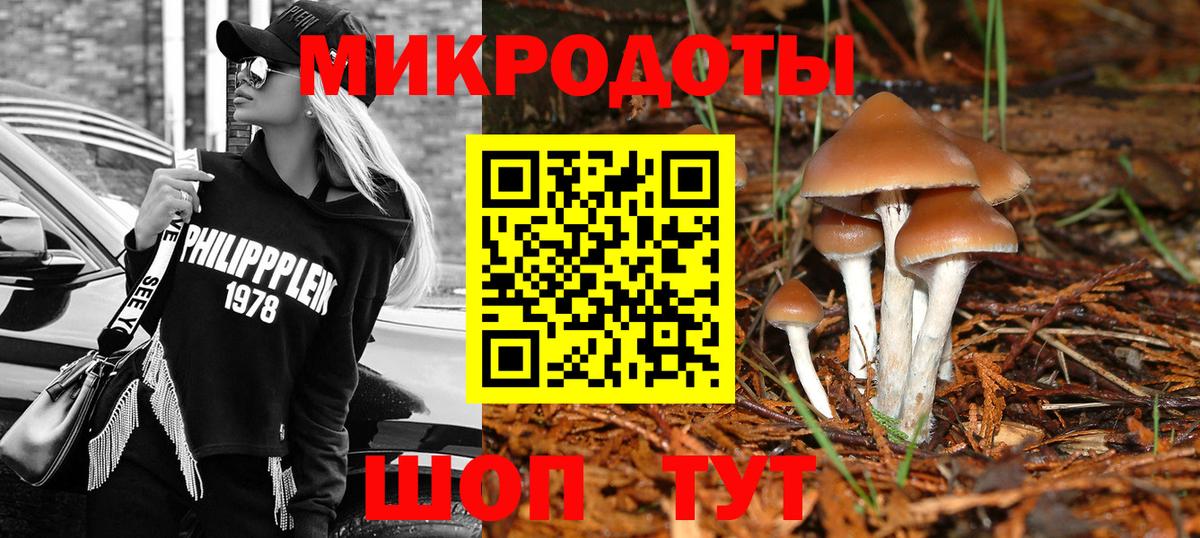 Галлюциногенные грибы Psilocybine cubensis  Галлюциногенные грибы прущие грибы  Мирный  Вход с VPN 